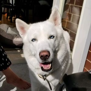 Meet your Posher, Lisamarie